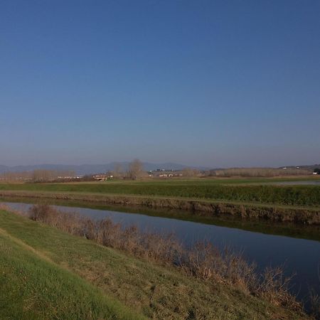Podere Gian Battaglia Fucecchio Bagian luar foto
