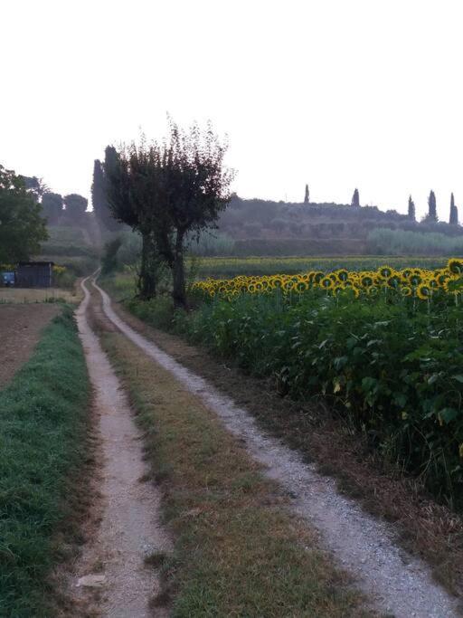 Podere Gian Battaglia Fucecchio Bagian luar foto