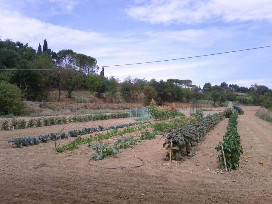 Podere Gian Battaglia Fucecchio Bagian luar foto