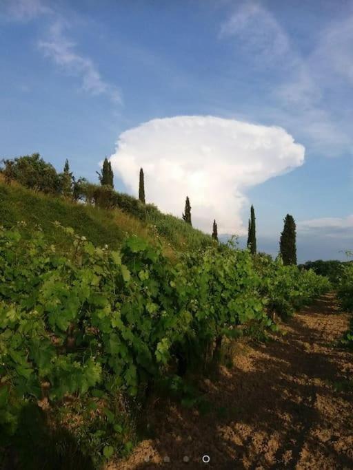 Podere Gian Battaglia Fucecchio Bagian luar foto
