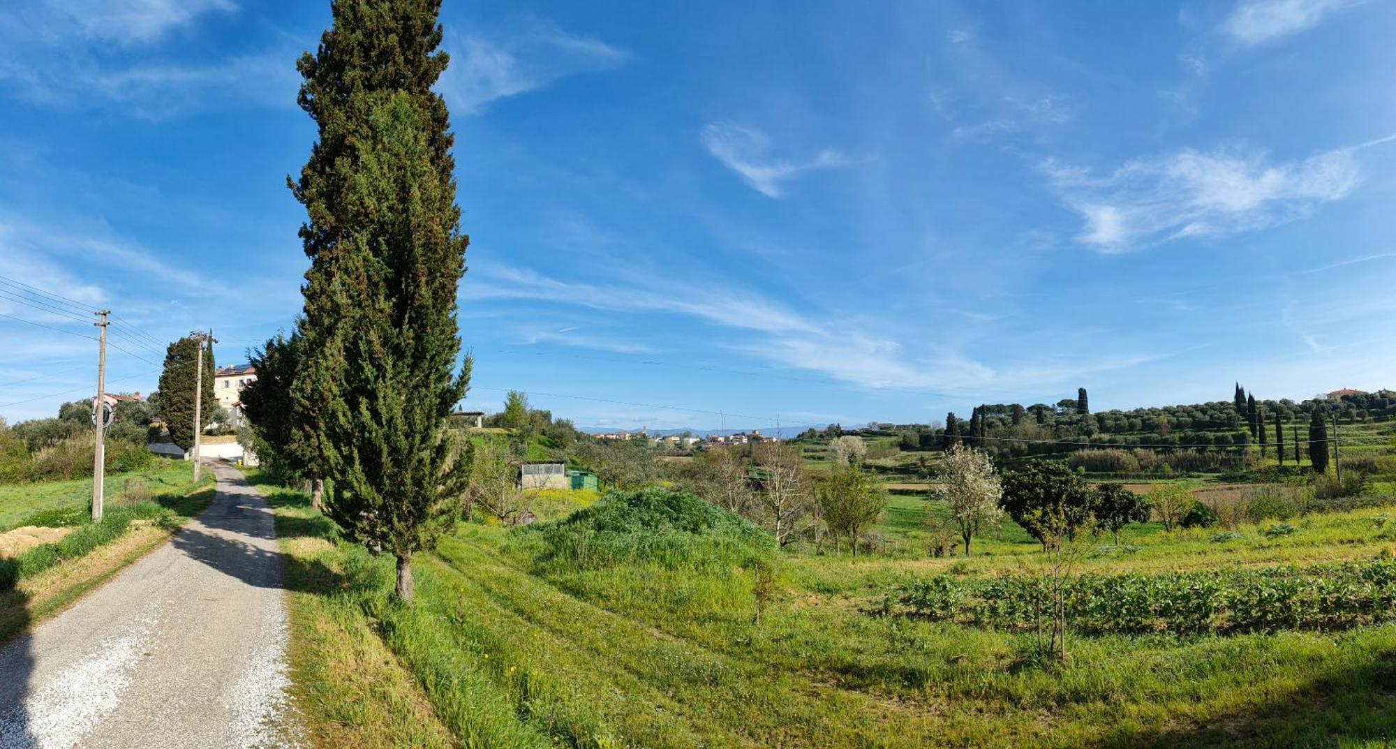Podere Gian Battaglia Fucecchio Bagian luar foto