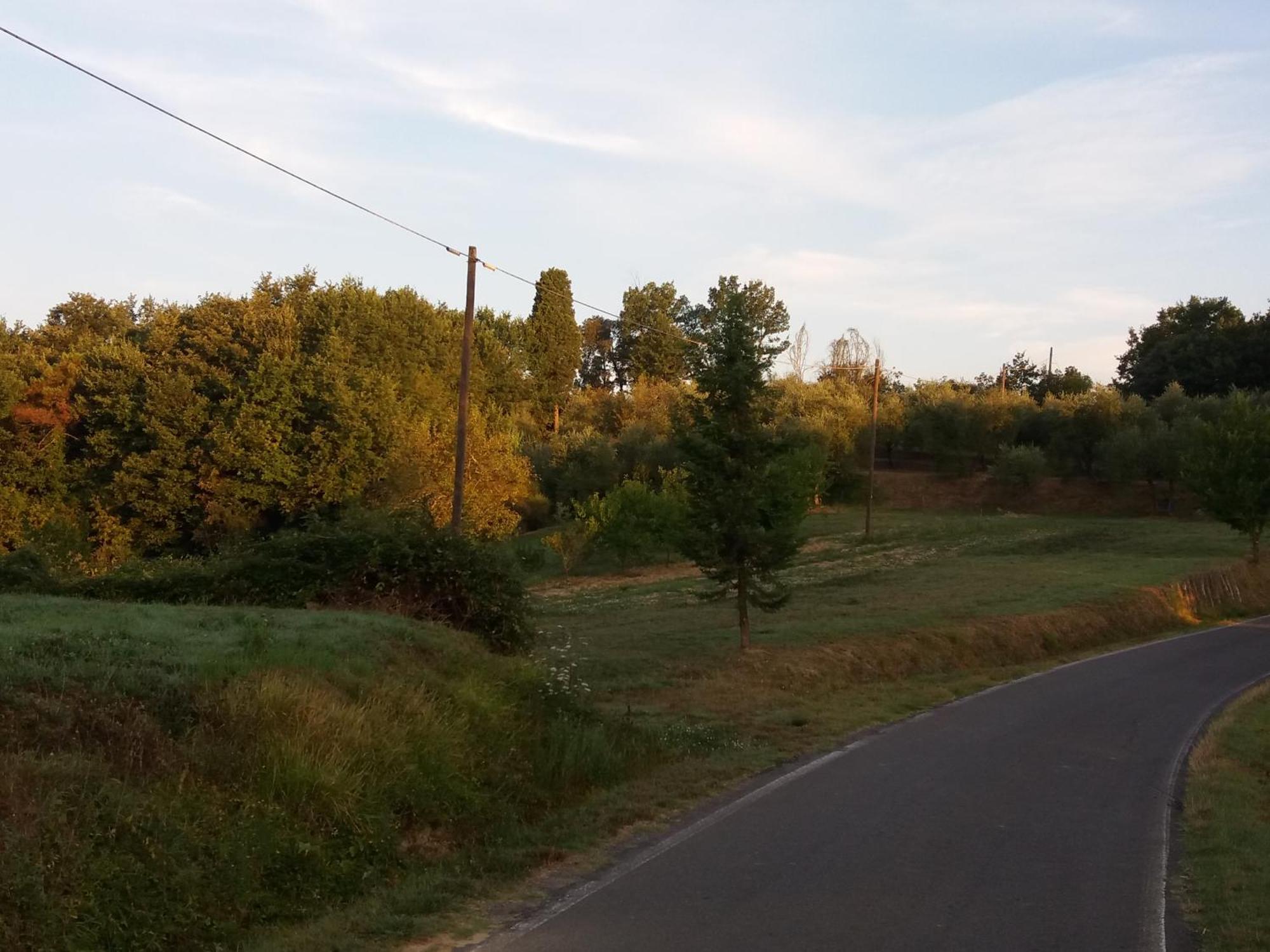 Podere Gian Battaglia Fucecchio Bagian luar foto