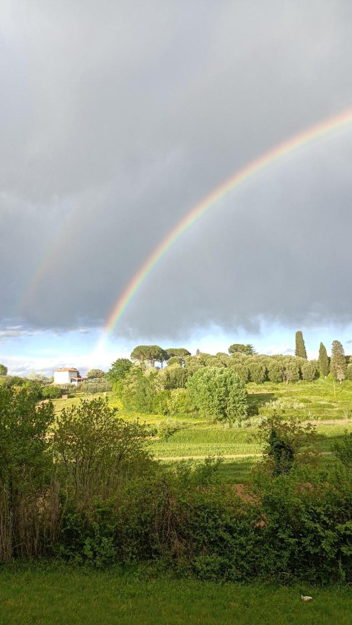 Podere Gian Battaglia Fucecchio Bagian luar foto
