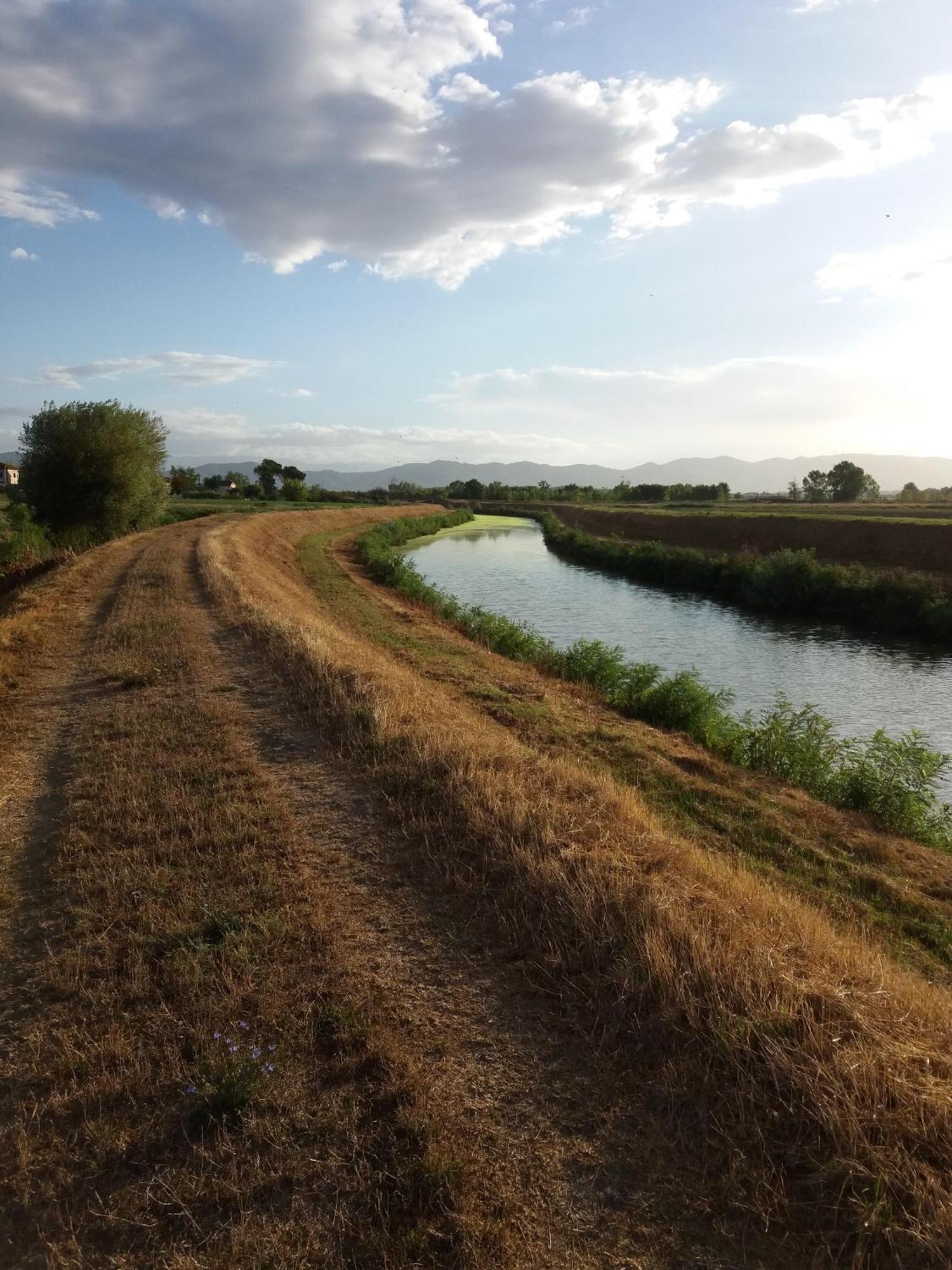 Podere Gian Battaglia Fucecchio Bagian luar foto