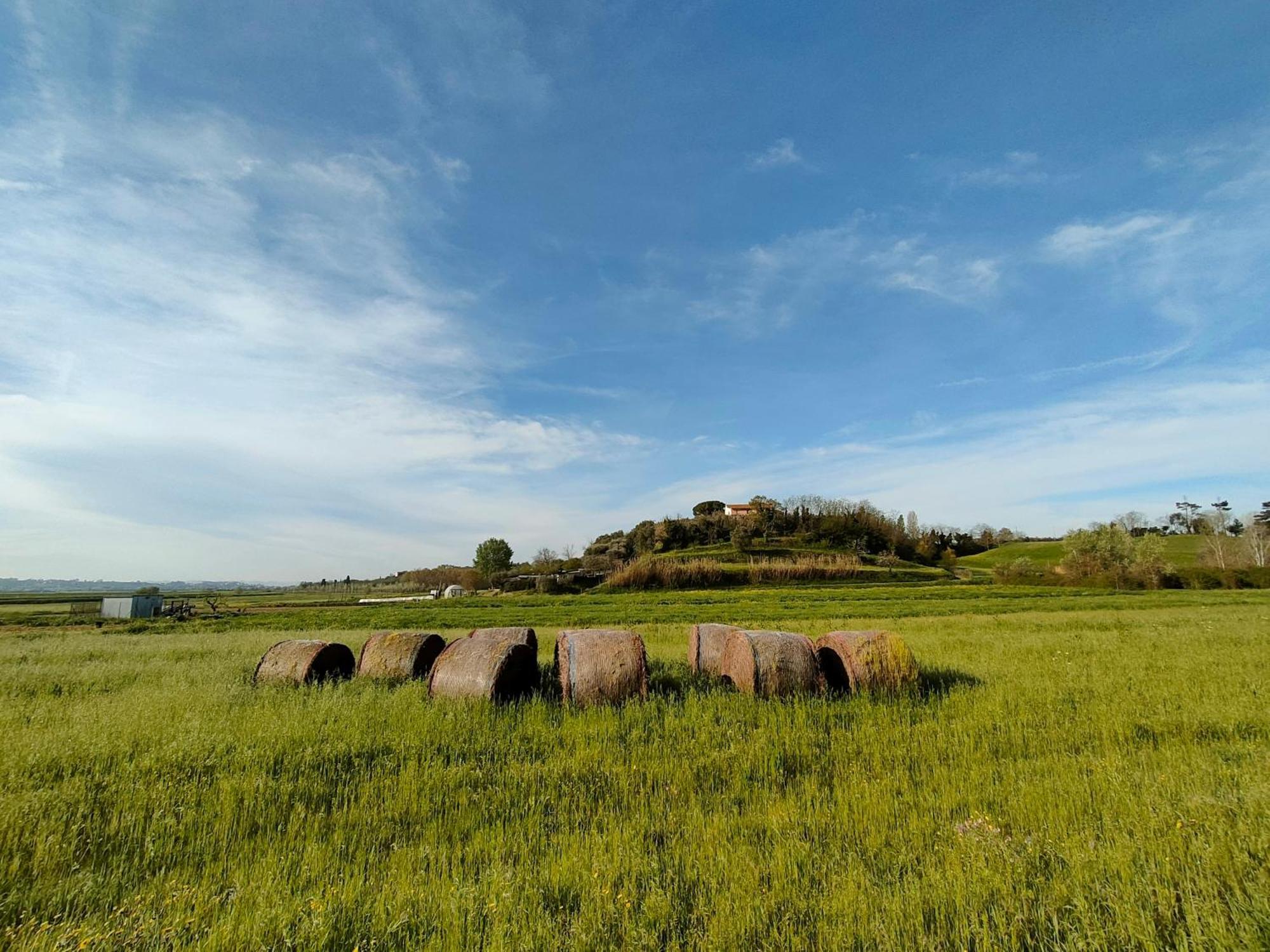 Podere Gian Battaglia Fucecchio Bagian luar foto