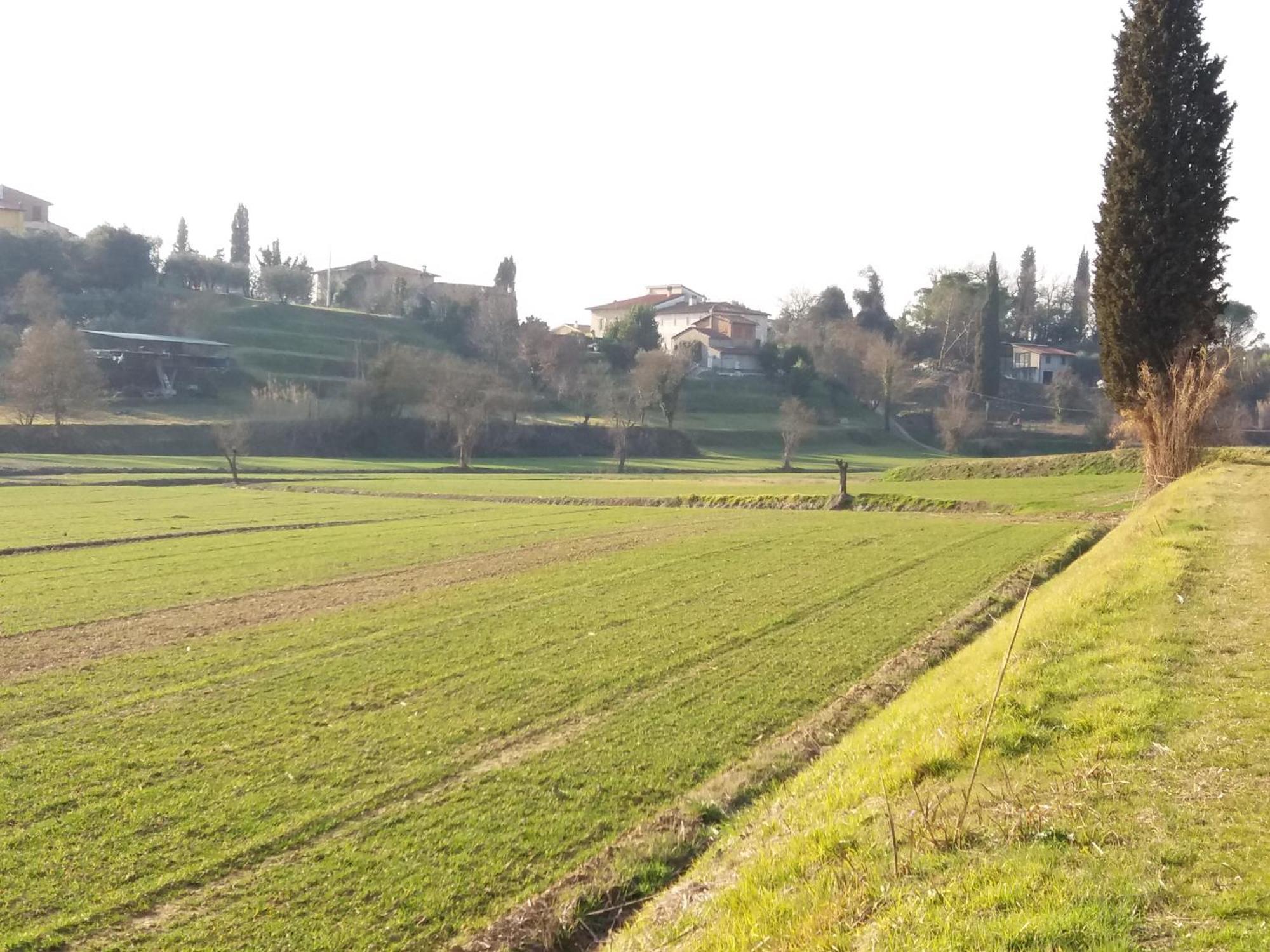 Podere Gian Battaglia Fucecchio Bagian luar foto