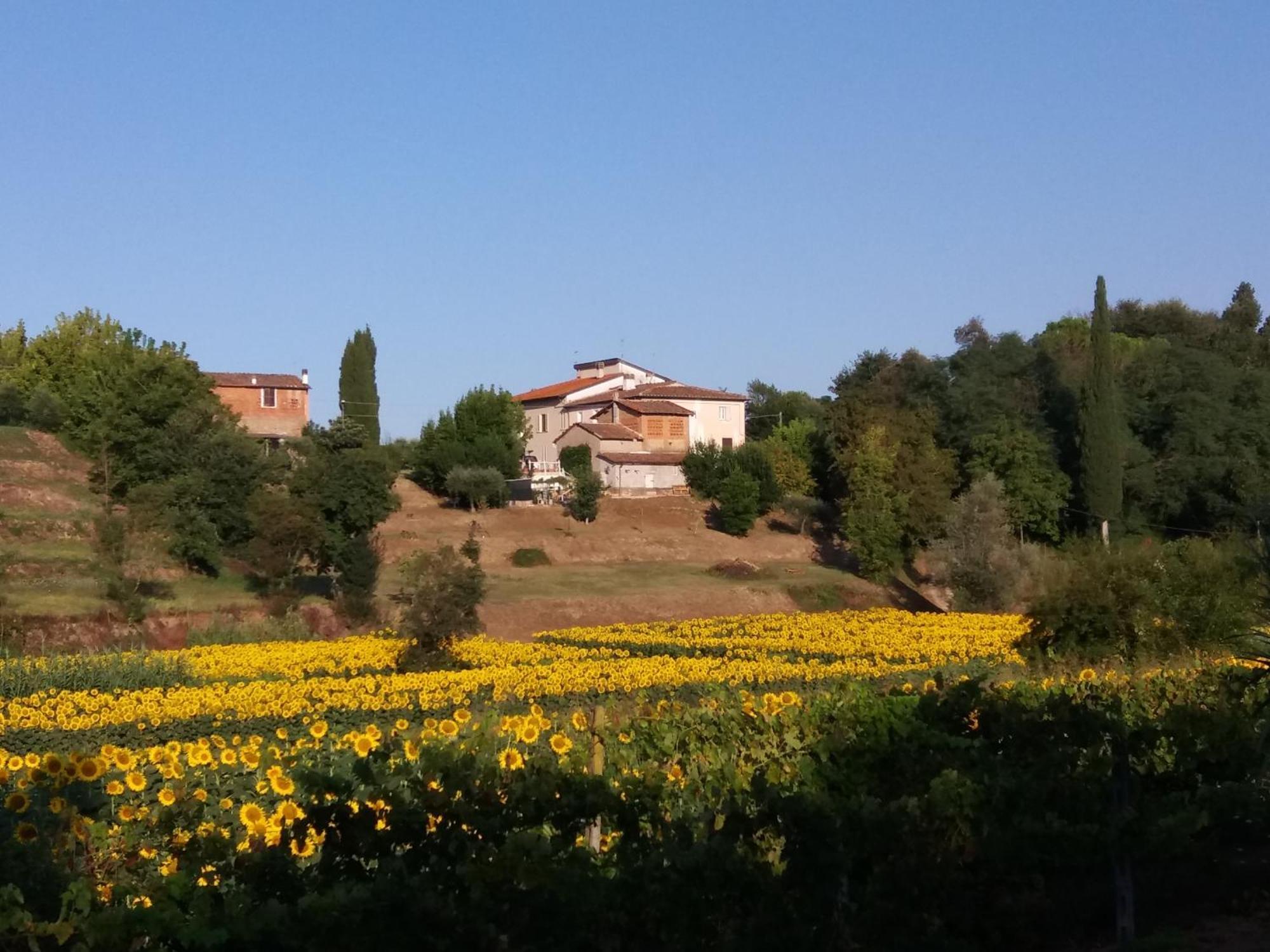 Podere Gian Battaglia Fucecchio Bagian luar foto