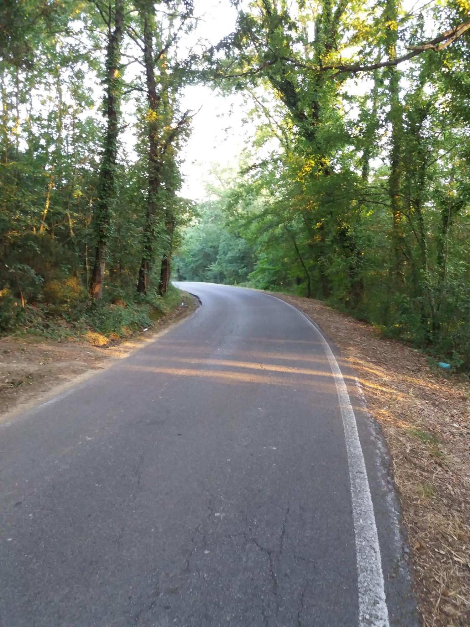 Podere Gian Battaglia Fucecchio Bagian luar foto