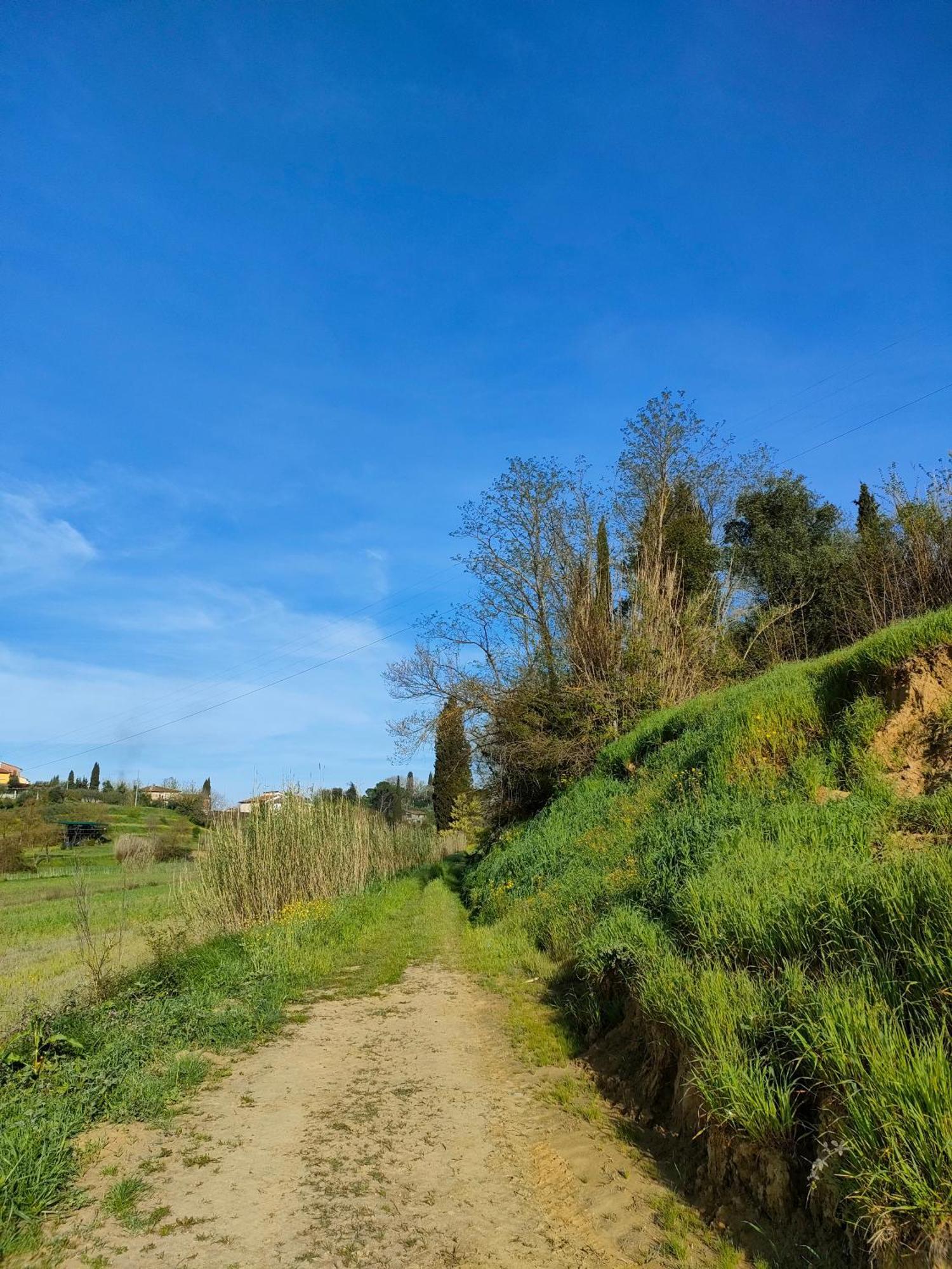 Podere Gian Battaglia Fucecchio Bagian luar foto