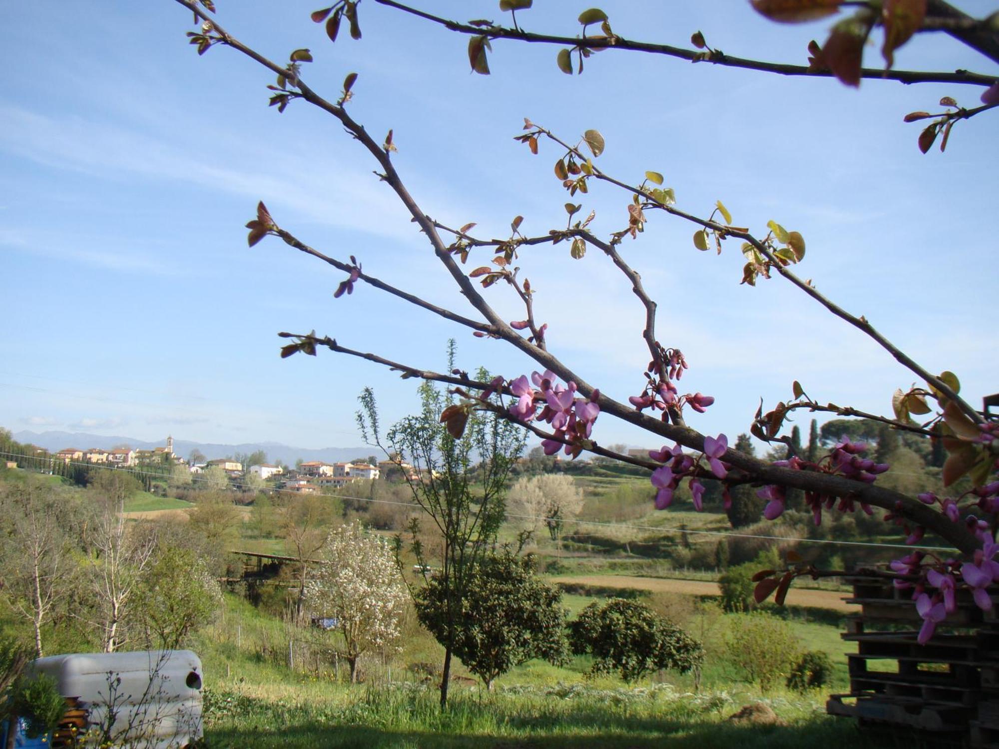Podere Gian Battaglia Fucecchio Bagian luar foto