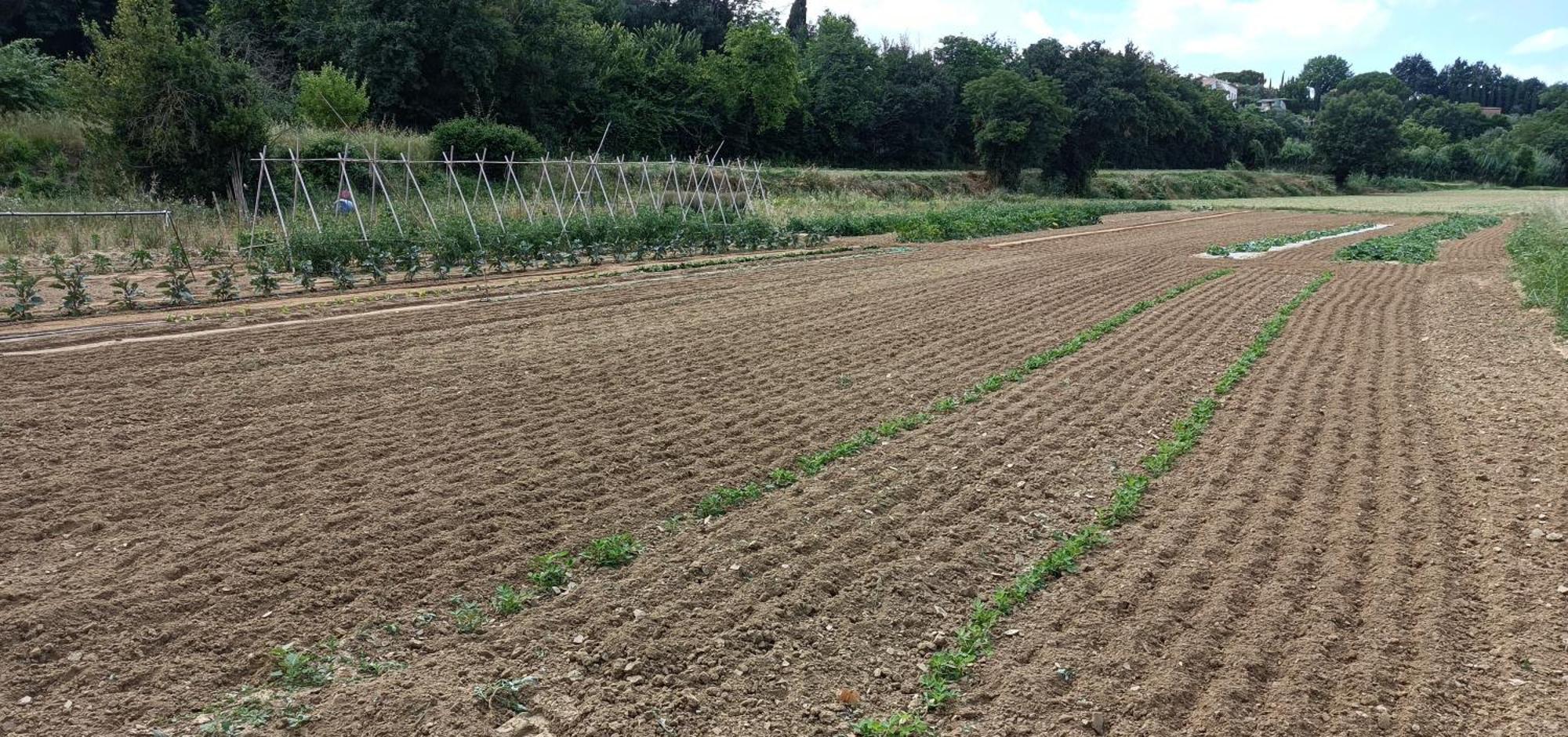Podere Gian Battaglia Fucecchio Bagian luar foto
